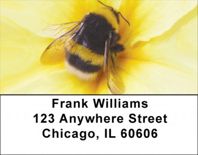 Bumble Bees Address Labels | LBZANK-53