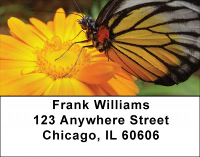 Insects On Flowers Address Labels | LBZANK-54