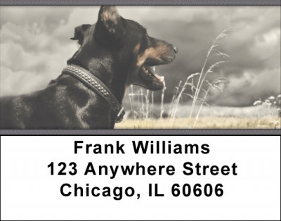 Doberman Address Labels | LBZANK-57