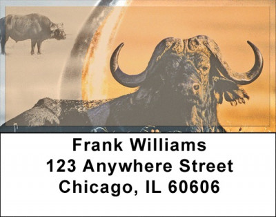 Water Buffalo Address Labels | LBZANK-59
