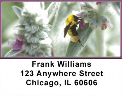 Bumble Bee Address Labels | LBZANK-60
