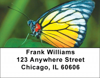 Butterfly Bonanza Address Labels | LBZANK-61