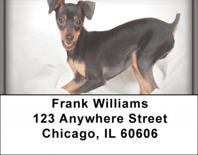 Fun Doberman Style Address Labels | LBZDOG-27