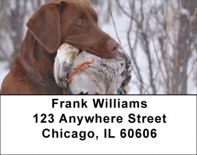 Labradors At Work Address Labels | LBZDOG-29