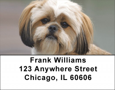 Lhasa Apso Puppy Address Labels | LBZDOG-35