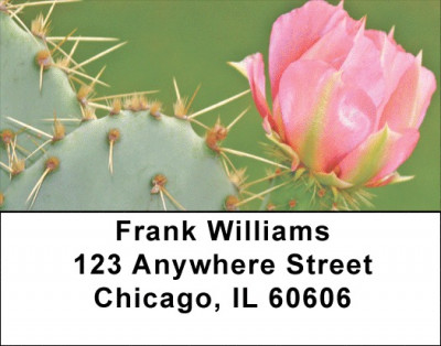 Desert In Bloom Address Labels | LBZFLO-08