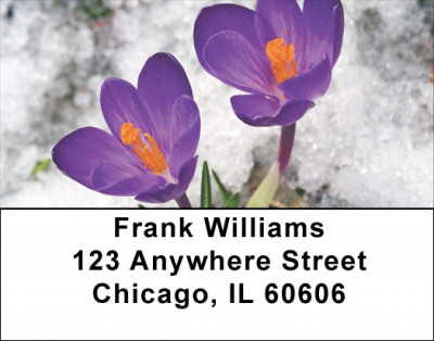 Crocus Address Labels | LBZFLO-11