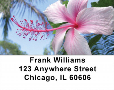 Hibiscus Address Labels | LBZFLO-19