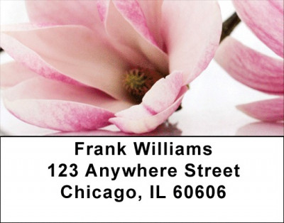 Magnolia Address Labels | LBZFLO-30
