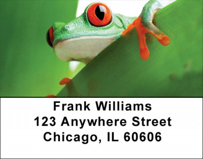 It's A Froggy Frog World Address Labels | LBZFUN-63