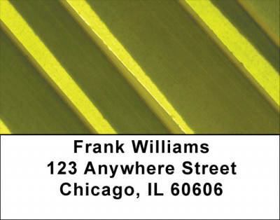 Abstract Black Gold Address Labels 2 | LBZGEO-80