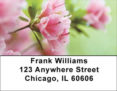 Azalea Gardens Address Labels | LBZNAT-17