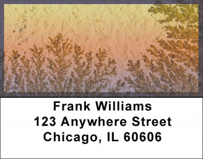 Fern Fossils Address Labels | LBZNAT-44