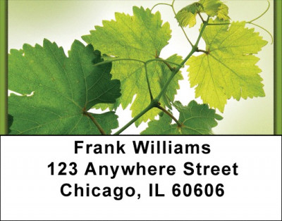 Simply Green Address Labels | LBZNAT-52