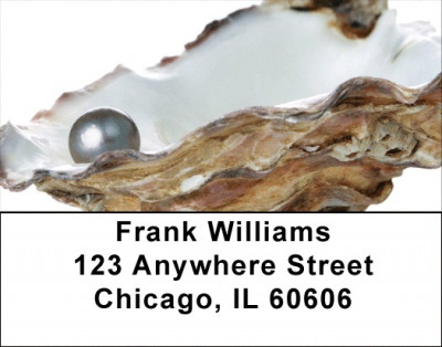 Pearly Shells Address Labels | LBZSCE-28