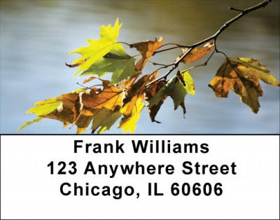 Falling Leaves On Water Address Labels | LBZSCE-64