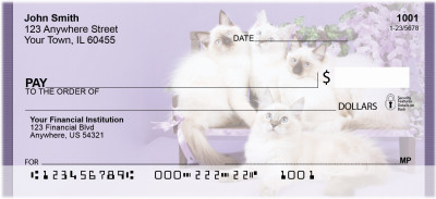 Feline Fancy Personal Checks | QBA-88