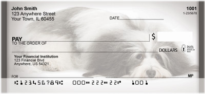 Havanese Personal Checks | QBB-61