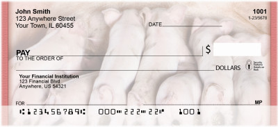 This Little Piggy Personal Checks | QBD-11