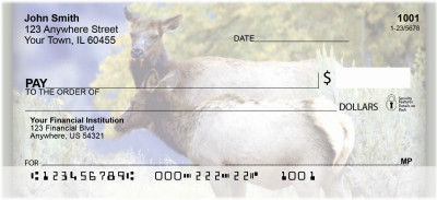 Elk in the High Country | ZANI-72