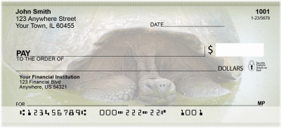 Giant Turtles Personal Checks | ZANJ-84