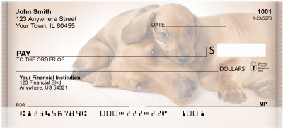 Dachshund Puppies Personal Checks | ZDOG-16