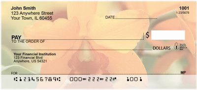 Colors On Fire Personal Checks | ZFLO-47
