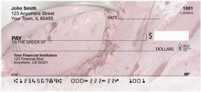 Ice Cream - Rich & Creamy Personal Checks | ZFOD-21