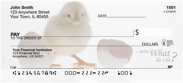 Now What Do I Do Personal Checks | BBA-64