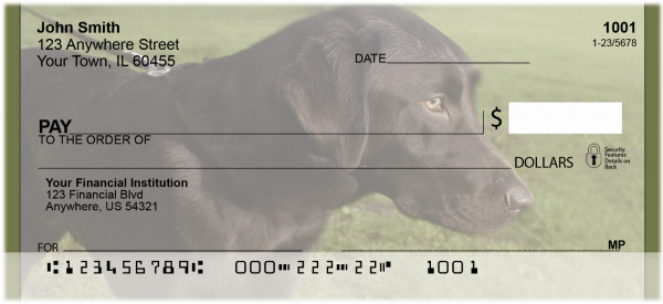Labrador Buddies Personal Checks | BBB-06