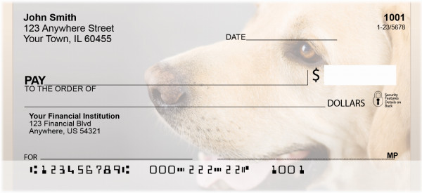 Beautiful Yellow Labs Personal Checks | BBB-07