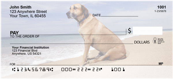 Beach Lab Personal Checks | BBB-10