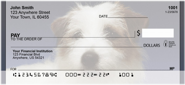 Jack Russell Terrier Portrait | BCA-81