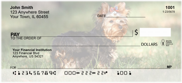 Yorkshire Terrier Personal Checks | DOG-24