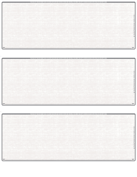 Grey Safety Blank 3 Per Page Laser Checks | L3C-BLA-ES