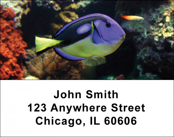 Tropical Fish Address Labels | LBANI-01