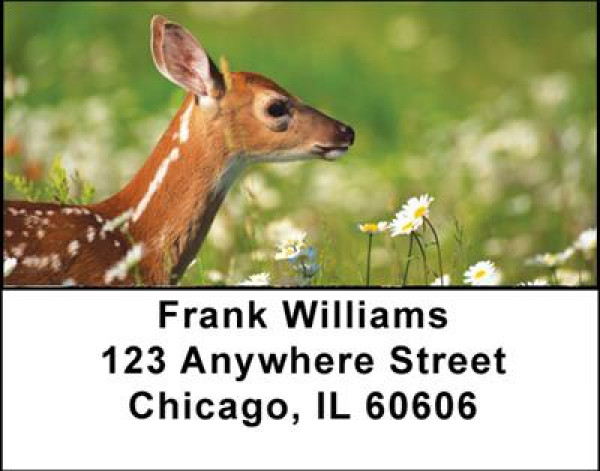 Deer Fawn Address Labels | LBANI-57