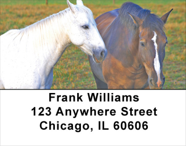 Scenic Horse Address Labels | LBANJ-33