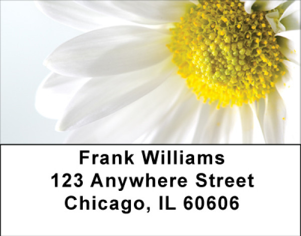 Daisy Dreamin' Address Labels | LBBBA-27