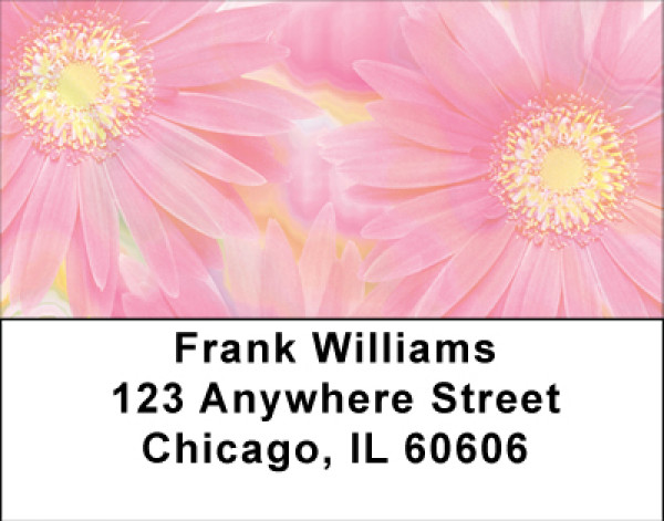 Pink Dreams Address Labels | LBBBA-32