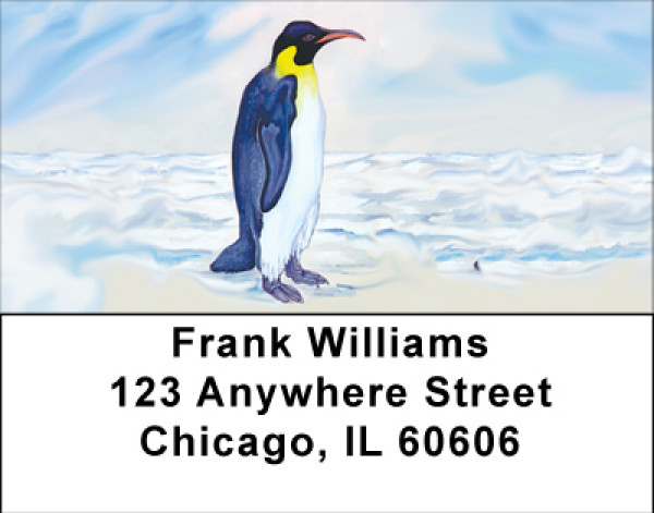 Penguin's Perspective Address Labels | LBBBA-70