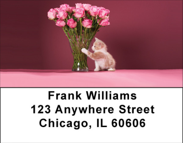 Pretty In Pink Address Labels | LBBBA-73