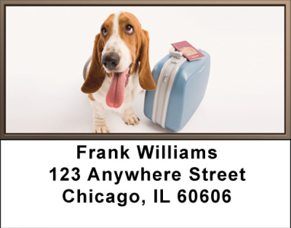 Adorable Bassets Address Labels | LBBBA-81