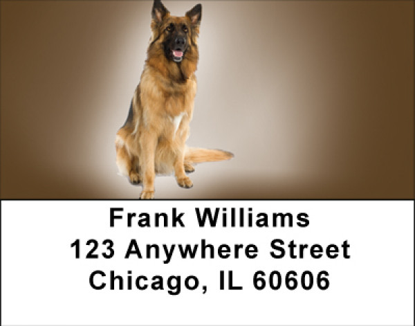Belgian Shepherds Address Labels | LBBBA-84