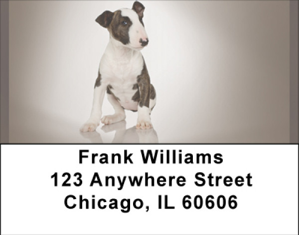 Adorable Bull Terriers Address Labels | LBBBA-89