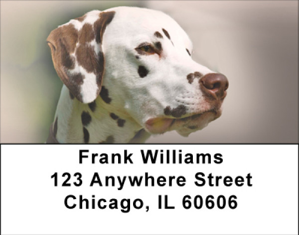 Dandy Dalmatians Address Labels | LBBBA-94