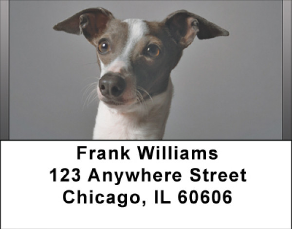 Greyhounds Address Labels | LBBBB-01
