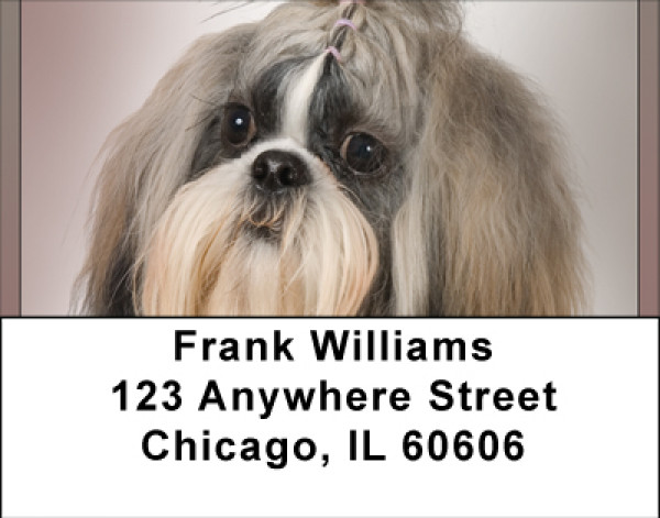 Shih Tzu Portraits Address Labels | LBBBB-25
