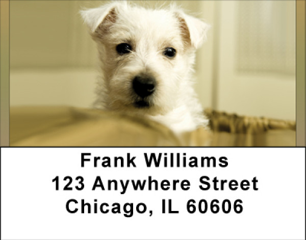 West Highland Address Labels | LBBBB-28