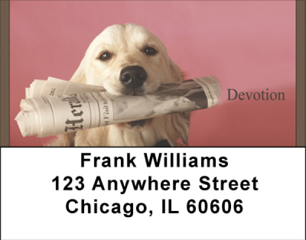 Yellow Labrador Devotion Address Labels | LBBBB-29